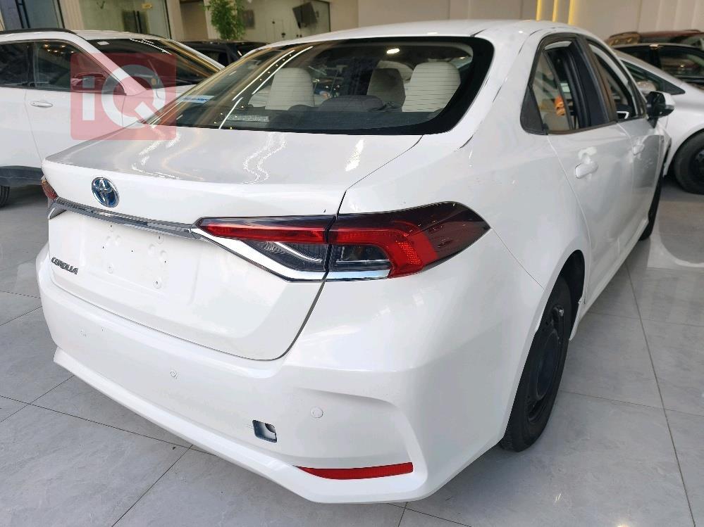 تويوتا كورولا